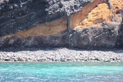 Dolphin and Whale Sailing Tour in Los Gigantes - Wildlife Chances: Dolphins, Pilot Whales, Turtles, and Calderones