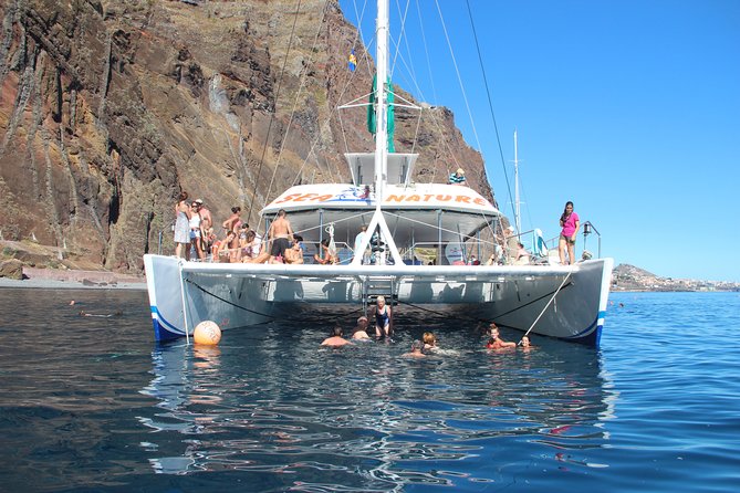 Dolphin and Whale Watching Catamaran Cruise from Funchal - Onboard comfort: space, bar options, and what to expect if it’s rough
