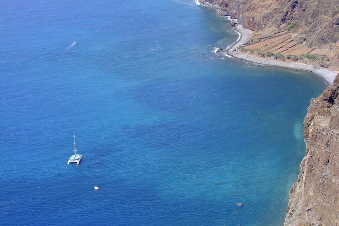 Dolphin and Whale Watching Catamaran Cruise from Funchal - Pricing and value: why $48.27 can still make sense
