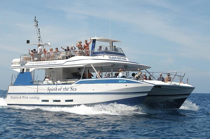 Dolphin and Whales watching cruise from Puerto Rico de Gran Canaria - The Cruise Timing: 10:30 and 13:30 Departures, 2.5 Hours at Sea