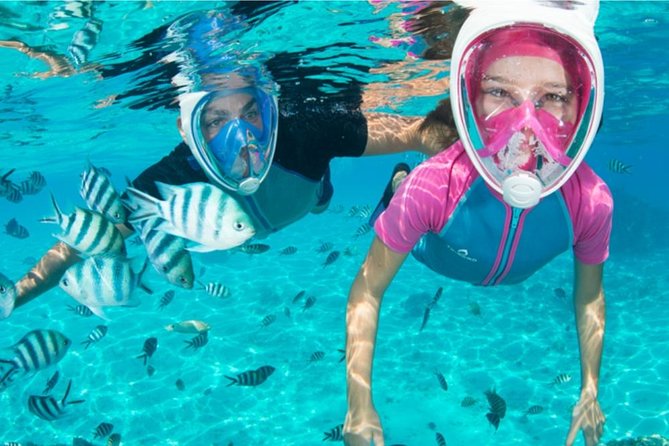 Dolphin Mini Cruise at Playa del Carmen - The Dolphin/Snorkel Part: What to expect in the water