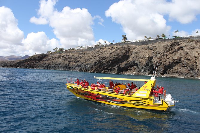 Dolphin Mini Cruise at Playa del Carmen - Biosfera Jet Fast-Boat Style: 90 minutes that move