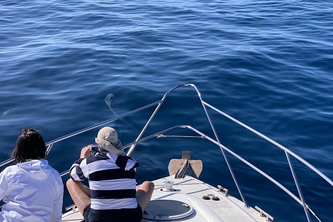 Dolphin Searching Tour in Puerto de Mogán ("KEEPER UNO" Boat) - Lunch and soft drinks onboard: included, but check your expectations