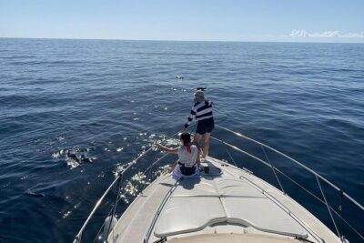 Dolphin Searching Tour in Puerto de Mogán ("KEEPER UNO" Boat) - Southwest coast cruising: cliffs, bays, and the value of “scenic stops”