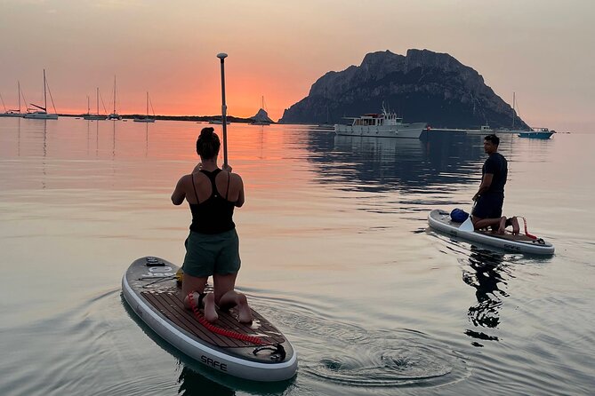Dolphin-spotting SUP tour with Golfo Aranci aperitif - Key things I think you’ll care about