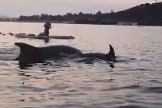 Dolphin-spotting SUP tour with Golfo Aranci aperitif - Starting at Spiaggia dei Baracconi and getting set up properly
