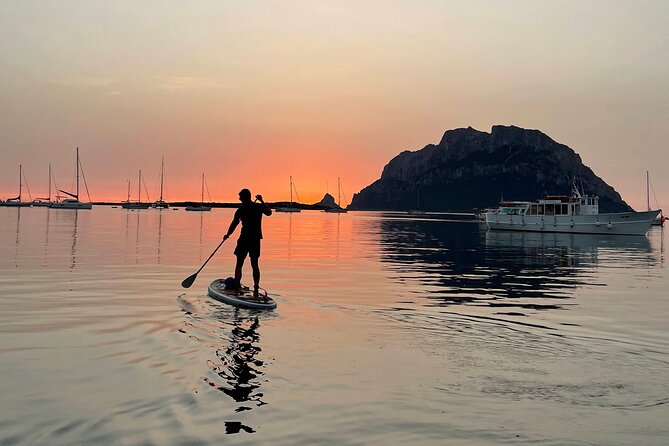 Dolphin-spotting SUP tour with Golfo Aranci aperitif - Cala Moresca stops: relaxation, cooling off, and birdwatching