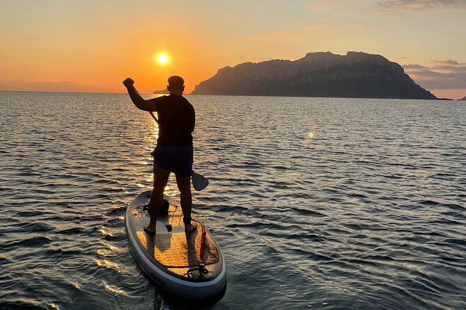 Dolphin-spotting SUP tour with Golfo Aranci aperitif - What you get for $71.15: real value math