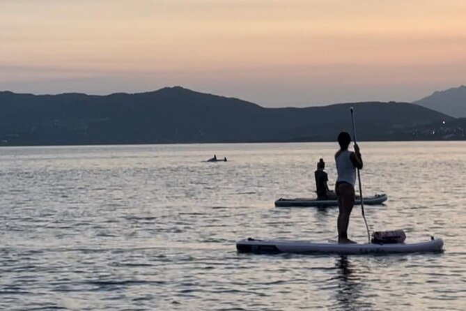 Dolphin-spotting SUP tour with Golfo Aranci aperitif - Small-group dynamics: why max 10 matters on a SUP board