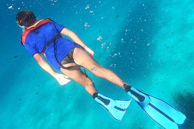Dolphin Watching and Snorkeling in Figarolo in Sardinia - The Boat Routine: How Time and Comfort Usually Work