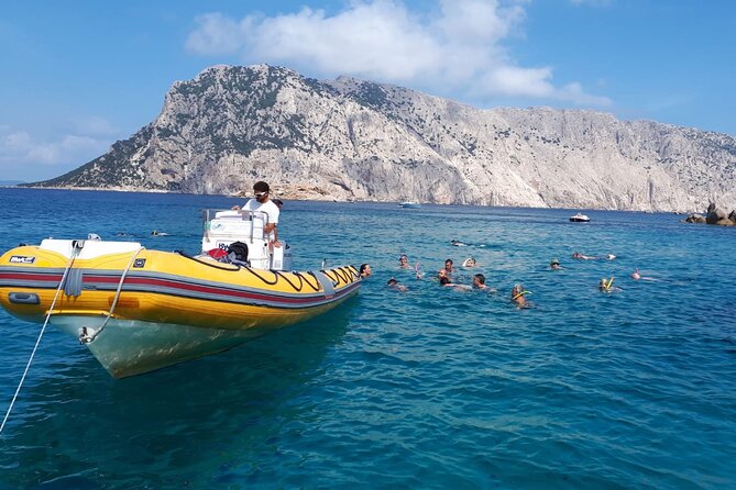 Dolphin Watching and Snorkeling in Figarolo in Sardinia - Price and Value: Is $84.69 a Fair Deal for 3.5 Hours?