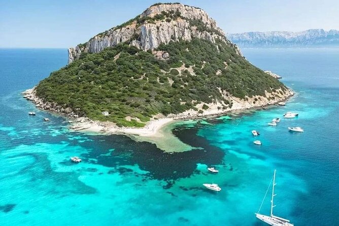Dolphin Watching Boat Excursion to Figarolo Island from Olbia - What the itinerary feels like in real life (three stops, one smooth rhythm)