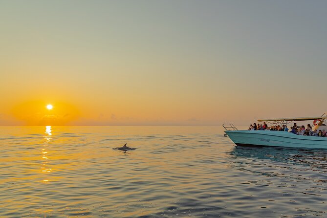 Dolphin watching by boat - The Crew and On-Board Experience (Mariano, Tiziano, Salvatore, and the Captain)