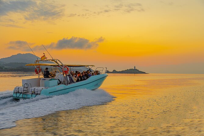 Dolphin watching by boat - Boat Comfort: Practical Stuff You’ll Feel During the Trip