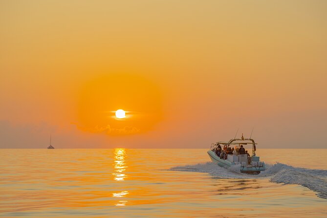 Dolphin watching by boat - Price and Value: Is $84.69 Worth It?