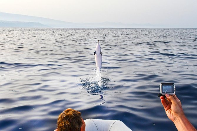 Dolphin Watching & Conservation - Dolphins in the Gulf of Catania - Dolphins, Mount Etna, and a conservation-first search