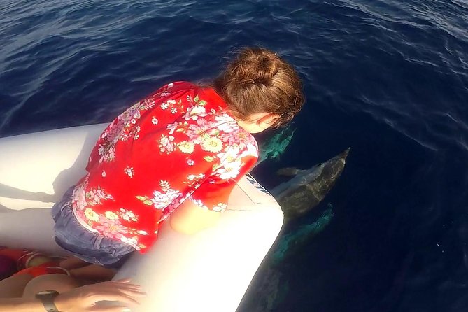 Dolphin Watching & Conservation - Dolphins in the Gulf of Catania - Aci Trezza and Aci Castello: where the scanning starts