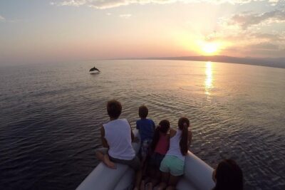 Dolphin Watching & Conservation - Dolphins in the Gulf of Catania - Meet the marine biologist: name tags for wild cetaceans