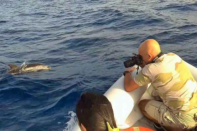 Dolphin Watching & Conservation - Dolphins in the Gulf of Catania - Binoculars, recognition cards, and the boat reality check