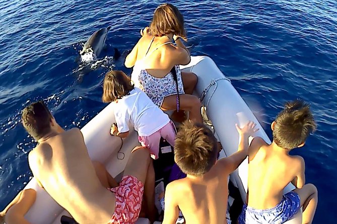Dolphin Watching & Conservation - Dolphins in the Gulf of Catania - Accobams code of conduct and the whale-watching mark