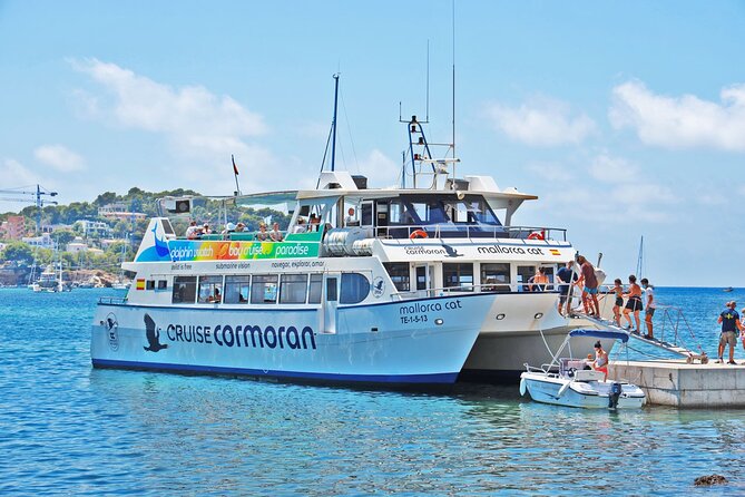 Dolphin Watching in Mallorca (Paguera) - Your 2-Hour Route Along Mallorca’s Southwest Coast