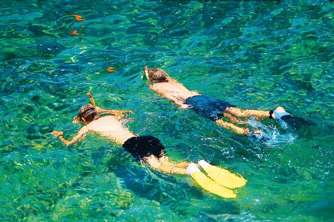 Dolphin Watching in Mallorca (Paguera) - On-Board Vibe: Crew, Commentary, and Snacks at Sea