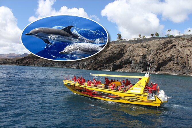 Dolphin Watching Mini Cruise and Snorkeling from Lanzarote - Key Highlights You’ll Care About