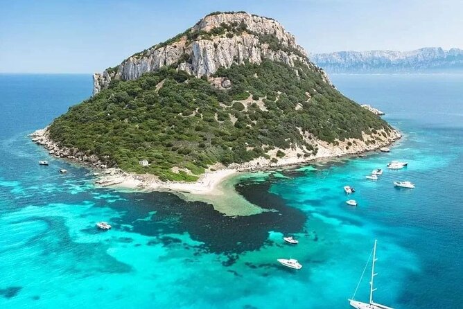 Dolphin Watching Tour with Snorkeling from Olbia - Cala Moresca dolphin hunt plus a snorkel swim you’ll remember