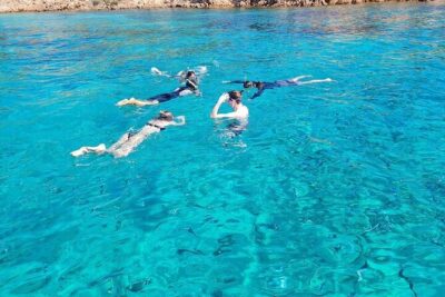 Dolphin Watching Tour with Snorkeling from Olbia - Price check: is $72.59 good value here?