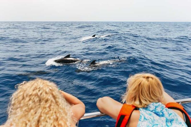 Dolphin Watching Tour with Snorkeling from Olbia - What to bring for snorkeling from Olbia