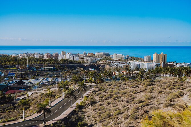 Double Tuk Tuk Tour in Costa Adeje - Picking the right departure time (so you actually enjoy the ride)
