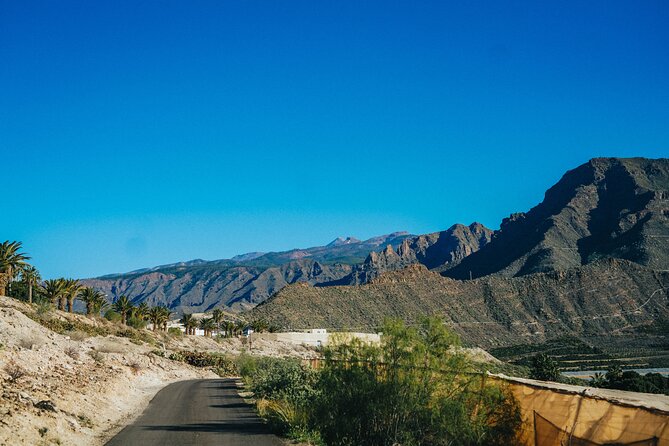 Double Tuk Tuk Tour in Costa Adeje - Who this tour fits best