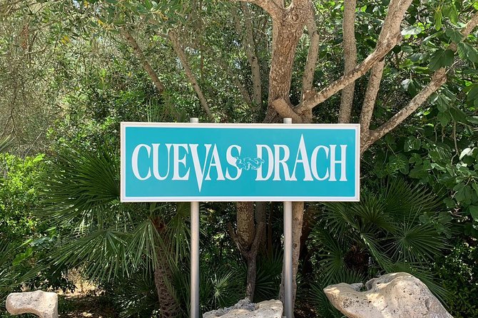 Drach Caves and Pearl Shop Mallorca Half Day Tour - Guides, languages, and the human touch on the bus