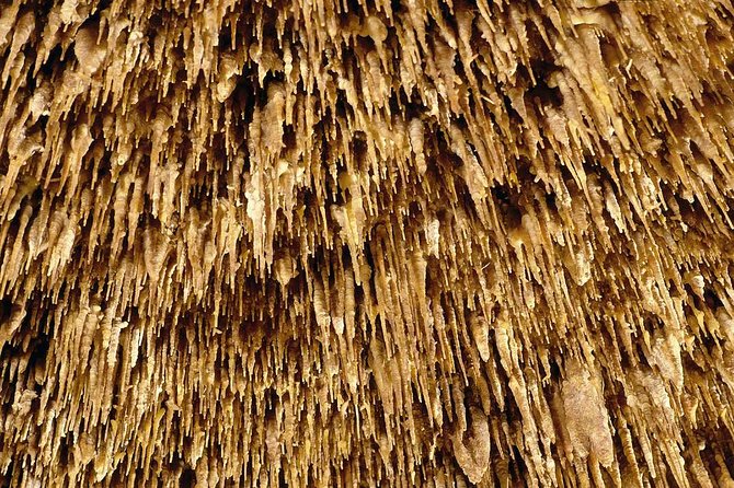 Drach Caves and Pearl Shop Mallorca Half Day Tour - Who should book this, and who should skip it