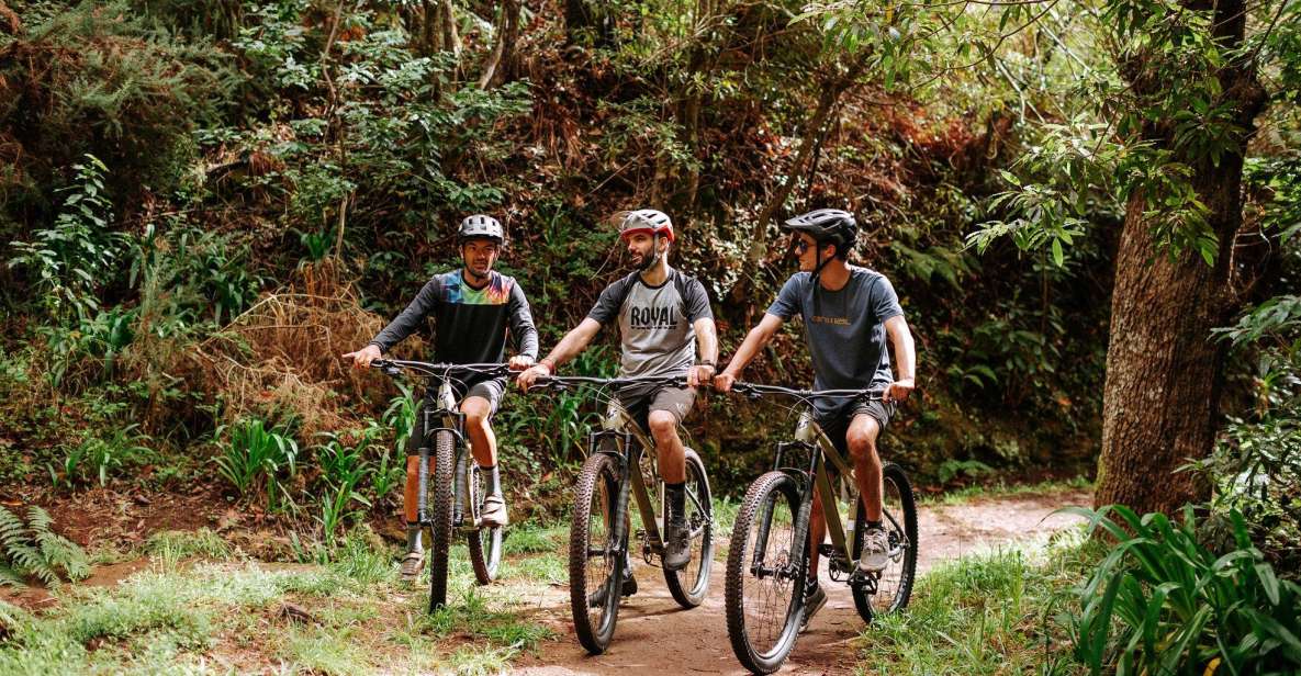 E-Bike Guided Tour - Mountain biking experience - Key highlights worth your attention