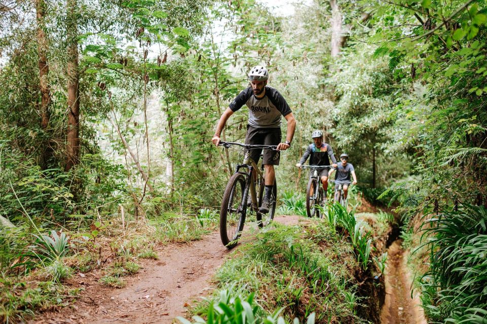 E-Bike Guided Tour - Mountain biking experience - Getting going in Madeira: meeting point, van time, and timing that works