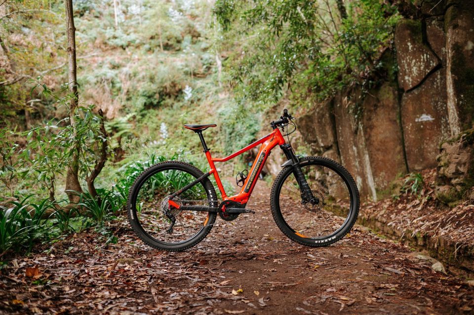 E-Bike Guided Tour - Mountain biking experience - Elevation and effort: what the +250 m climb means on an e-bike hardtail