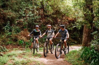 E-Bike Guided Tour - Mountain biking experience - The route plan: two riding sections plus Camacha breathing room