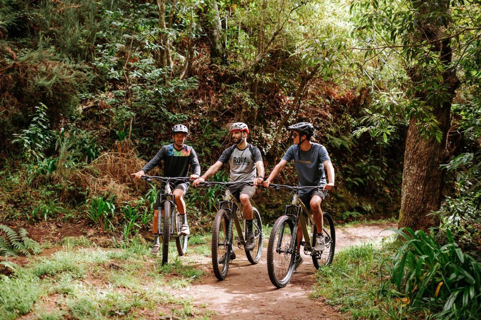 E-Bike Guided Tour - Mountain biking experience - The route plan: two riding sections plus Camacha breathing room