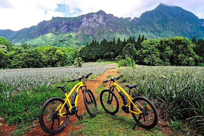 E-Bike Moorea Electric Bike Rental Moorea - Why Moorea by E-Bike Beats a Bus Day