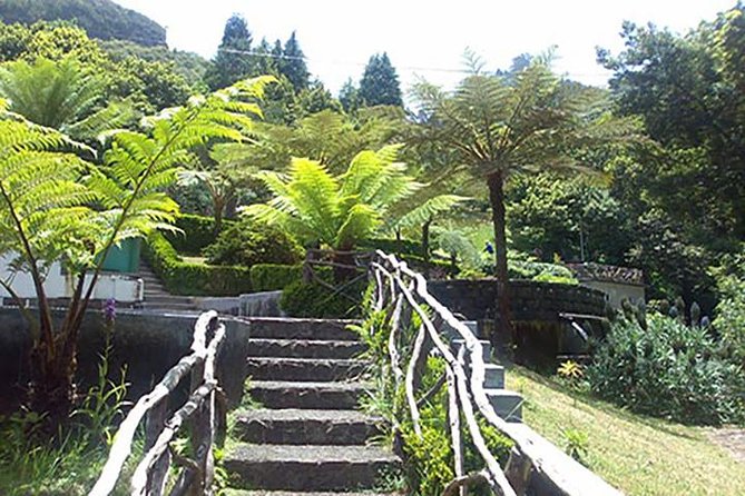 EAST: Pico do Arieiro & Laurissilva Forest - Full Day tour - North coast panoramas: Guindaste to Porto da Cruz
