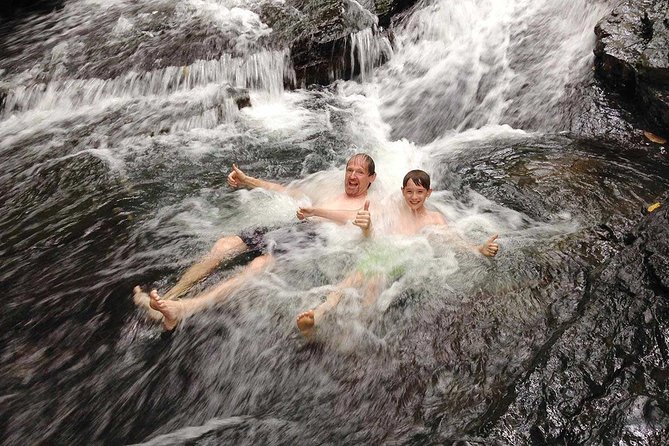 Ebano Waterfalls and Rainforest Safari Tour - Key things I’d put on your radar