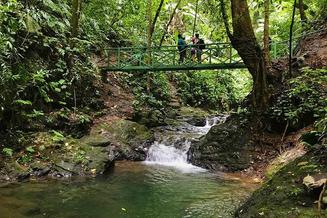 Ebano Waterfalls and Rainforest Safari Tour - Why Ebano Waterfalls feels worth the drive from Quepos
