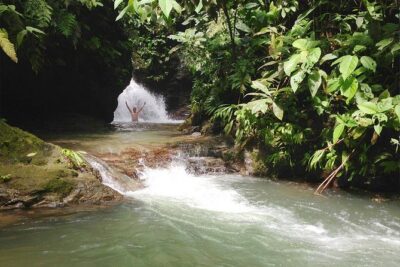 Ebano Waterfalls and Rainforest Safari Tour - Hacienda Ebano start: a 1-mile rainforest hike that actually has variety