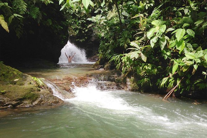Ebano Waterfalls and Rainforest Safari Tour - Hacienda Ebano start: a 1-mile rainforest hike that actually has variety