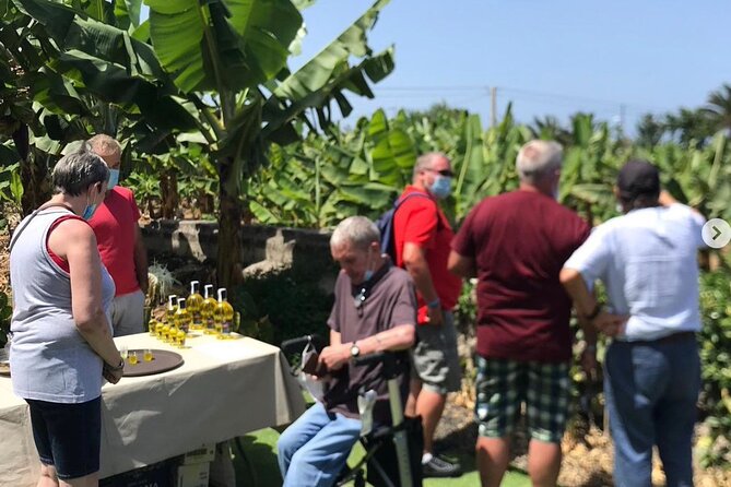 Eco banana farm Tour - Sustainable Banana Farming in Plain Language (The Stuff You Actually Remember)