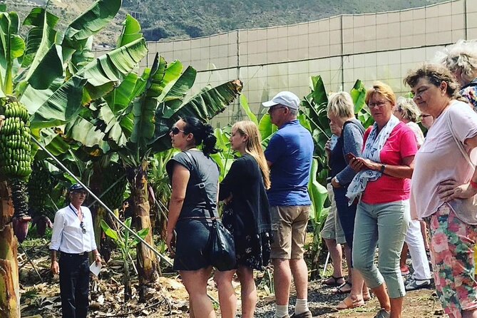 Eco banana farm Tour - Meeting at Merendero El Rincón: Getting There Without Stress