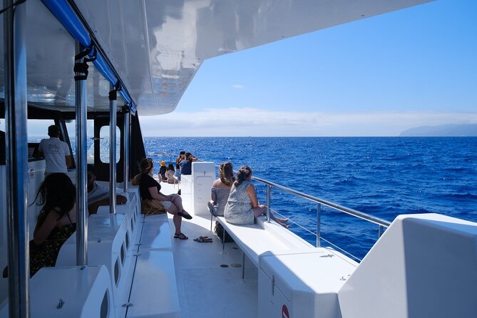 Eco-Friendly Catamaran Dolphin and Whale Watching - Leaving Funchal: your meeting point and what to expect on timing