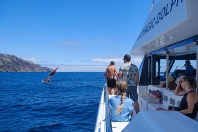 Eco-Friendly Catamaran Dolphin and Whale Watching - How spotters help you find dolphins and whales (and why it feels more efficient)