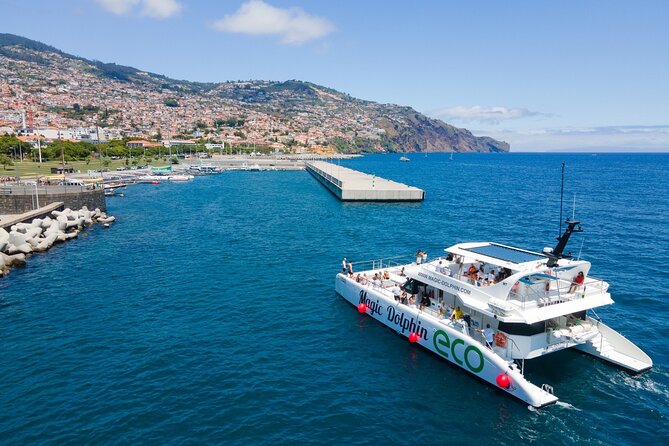 Eco-Friendly Catamaran Dolphin and Whale Watching - Wildlife viewing rules: how to manage expectations about “only 10 minutes”